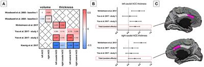 Autonomic and Brain Morphological Predictors of Stress Resilience